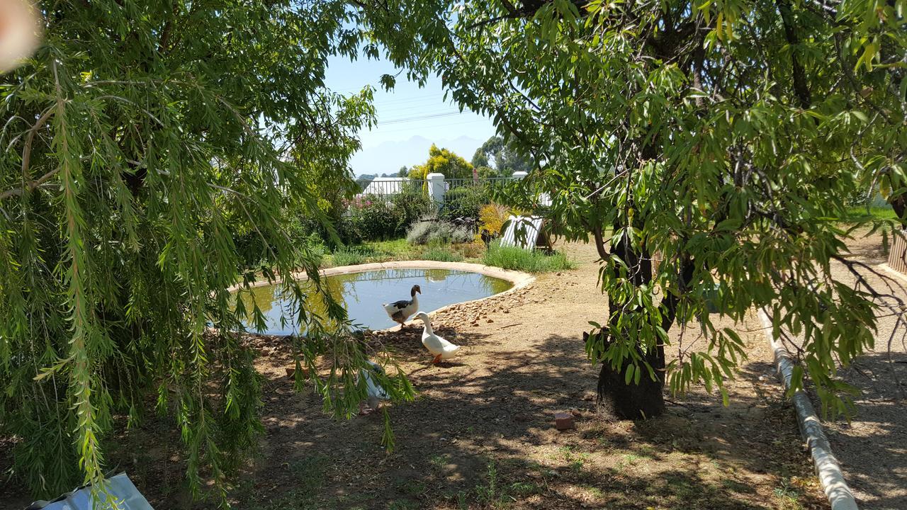 Merindol Manor Riebeek-West Екстер'єр фото